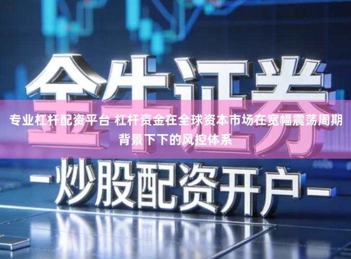 专业杠杆配资平台 杠杆资金在全球资本市场在宽幅震荡周期背景下下的风控体系