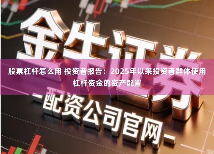 股票杠杆怎么用 投资者报告：2025年以来投资者群体使用杠杆资金的资产配置