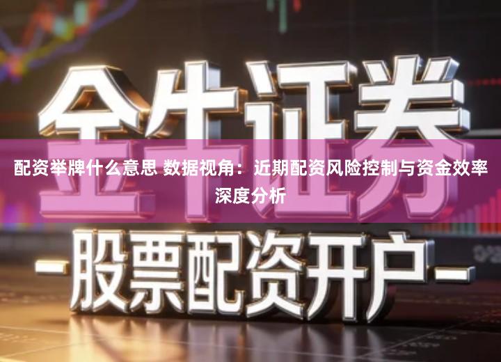 配资举牌什么意思 数据视角：近期配资风险控制与资金效率深度分析