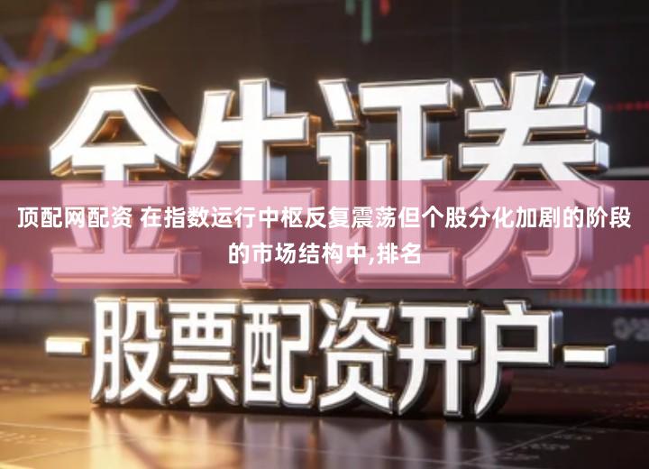 顶配网配资 在指数运行中枢反复震荡但个股分化加剧的阶段的市场结构中,排名